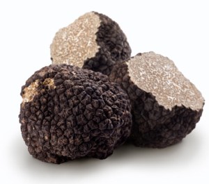 Truffles 