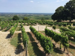 View of the Monbazillac Vineyards from the Château 