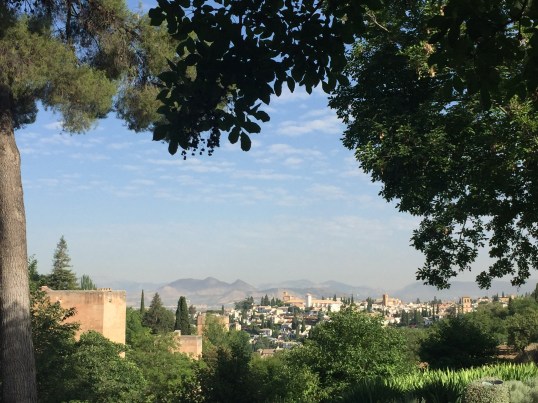 3223EDE2-4D6B-4F96-96E9-4B40DC8FB72B