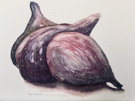 88A04C0C-D86C-4B8F-BBE6-914E95176A02