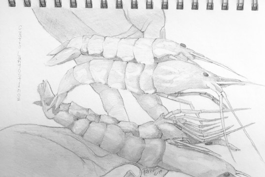 BBF0A5D0-EC8E-408F-B214-6B07C38B0137