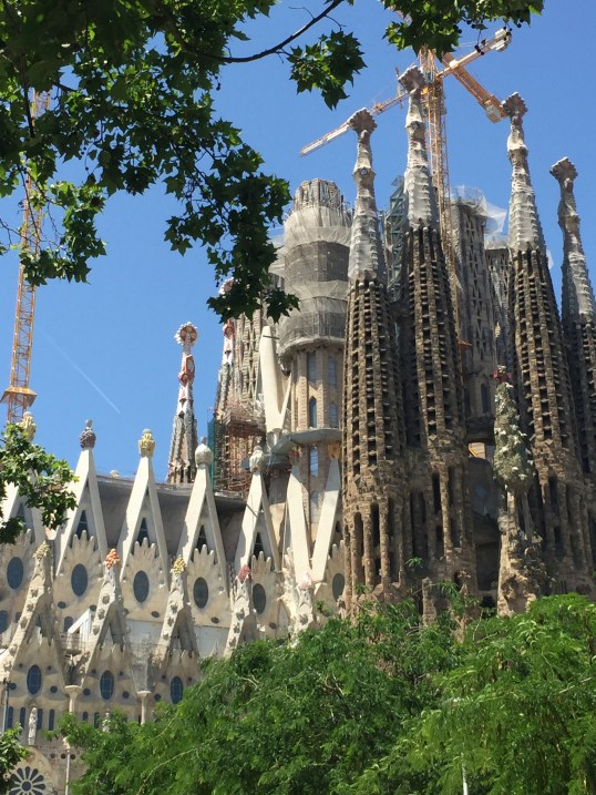 BC8D187F-7D0A-4682-AC20-75F8BB853912